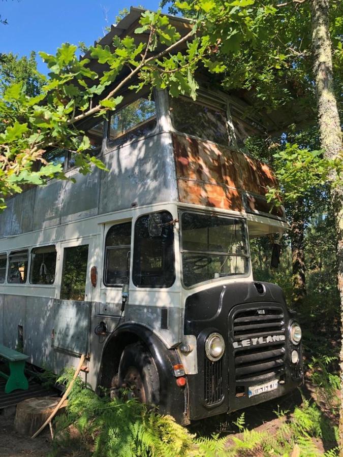 Cosmic English Bus 2 Floor Mimizan-Plage Екстериор снимка